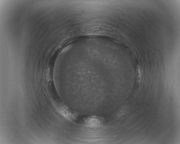 X0000080180224200612081409