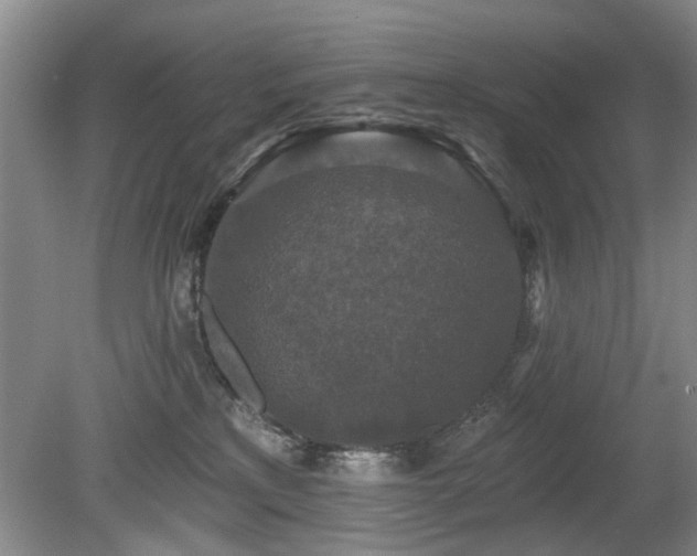 X0000080180233200612081409