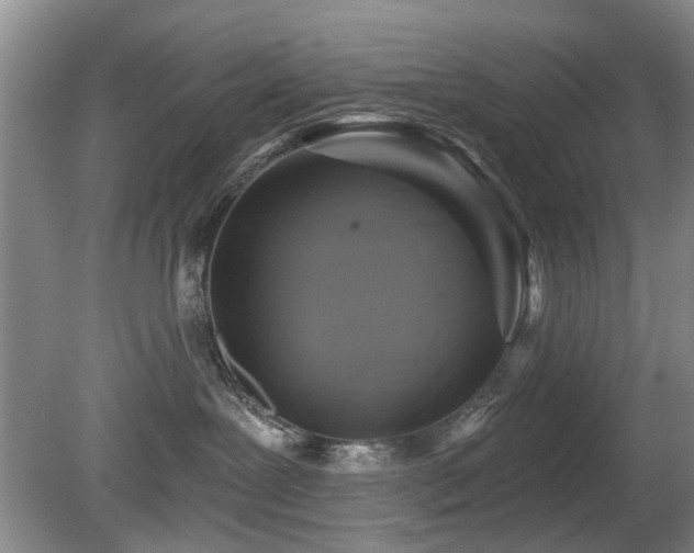 X0000080180239200612081409