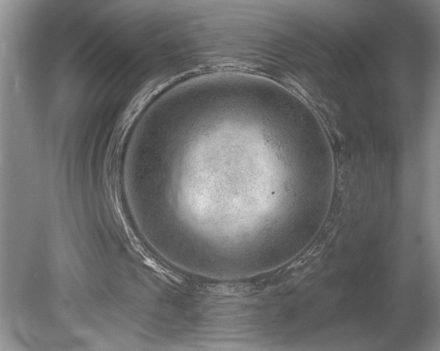 X0000080180241200612081408