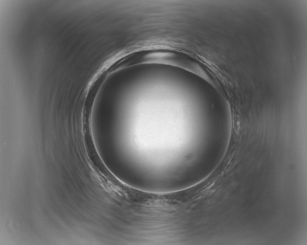 X0000080180244200612081408