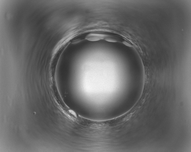 X0000080180245200612081408