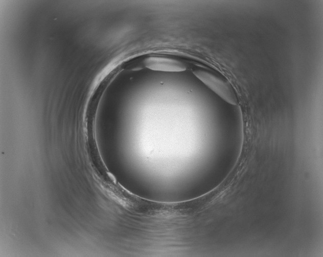 X0000080180246200612081408