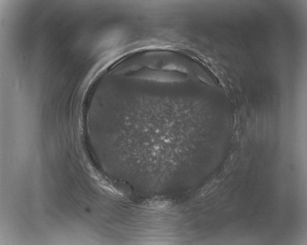 X0000080180247200612081408