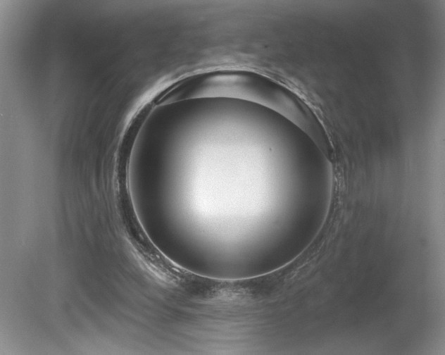 X0000080180248200612081408