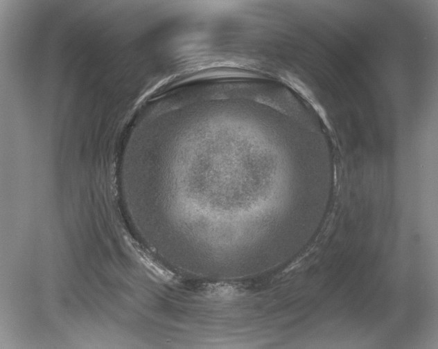 X0000080180249200612081408