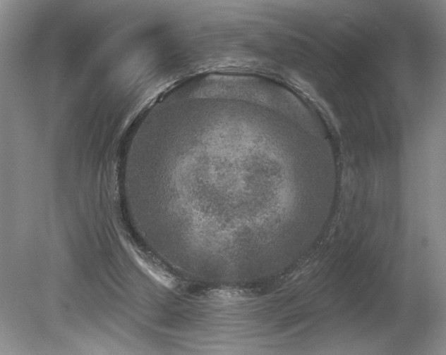 X0000080180250200612081408