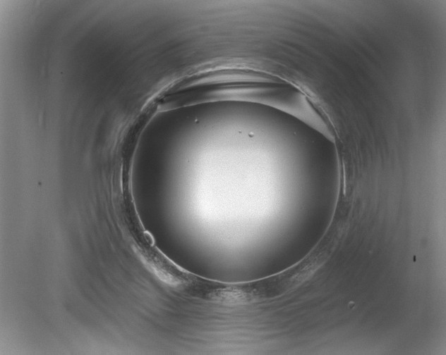 X0000080180253200612081409