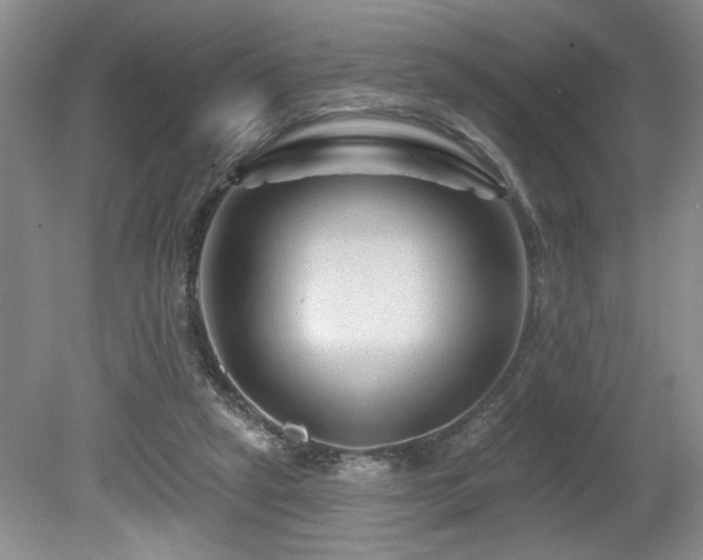 X0000080180257200612081409