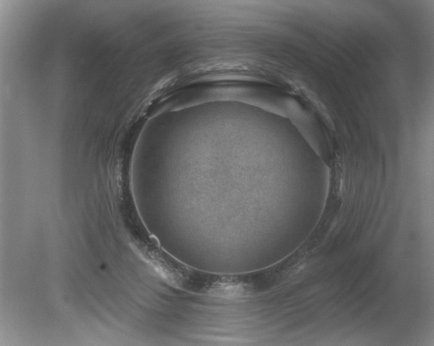 X0000080180260200612081409