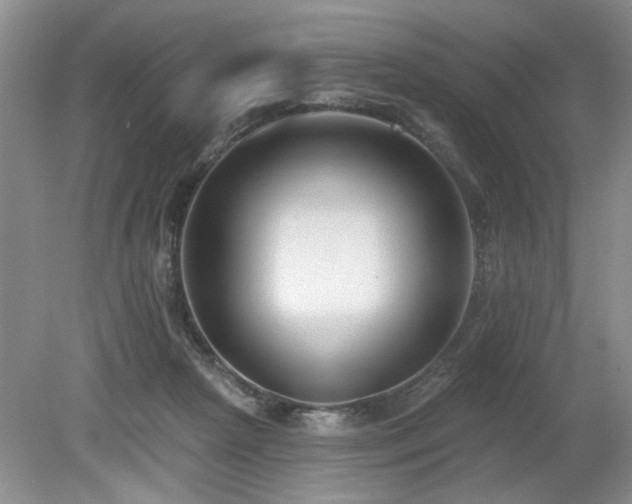 X0000080180265200612081409