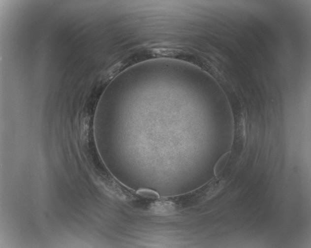 X0000080180271200612081409