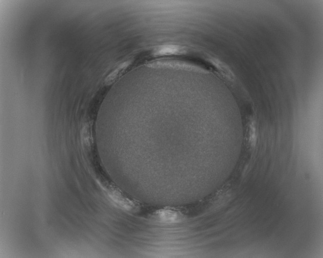 X0000080180272200612081409