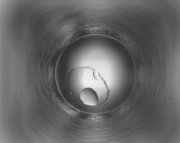 X0000080180278200612081409