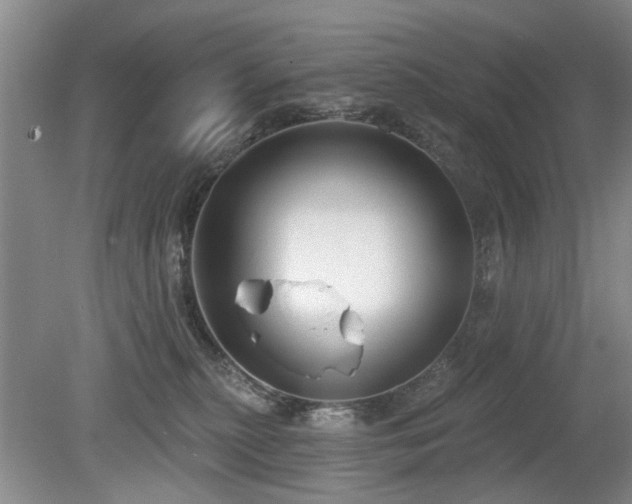 X0000080180279200612081409