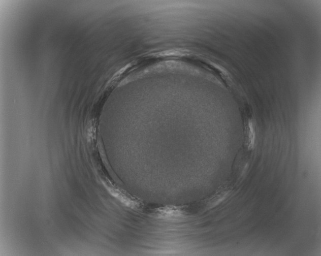 X0000080180284200612081409