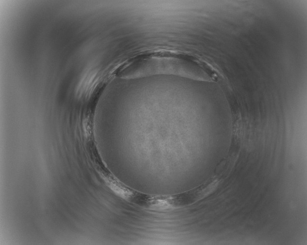 X0000080180285200612081409