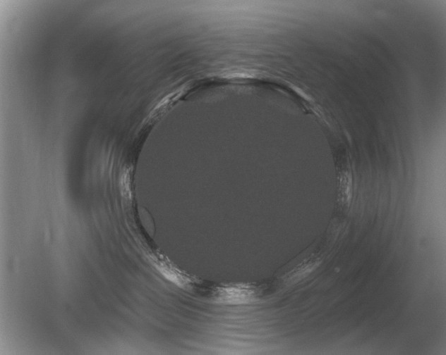 X0000080180286200612081409