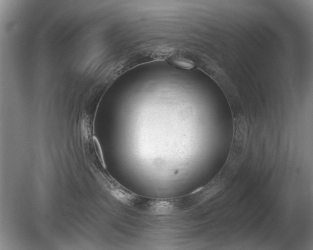 X0000080180287200612081409