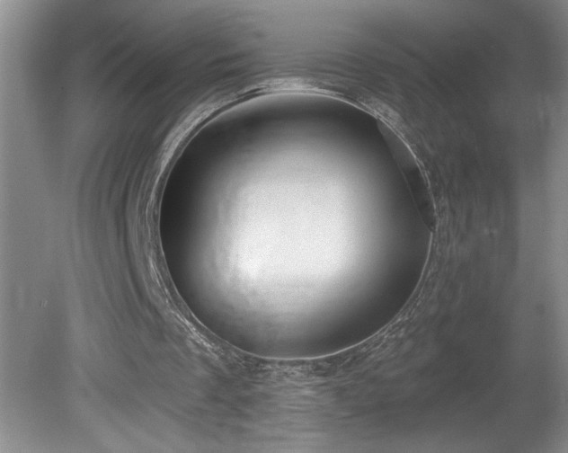 X0000080180289200612081408