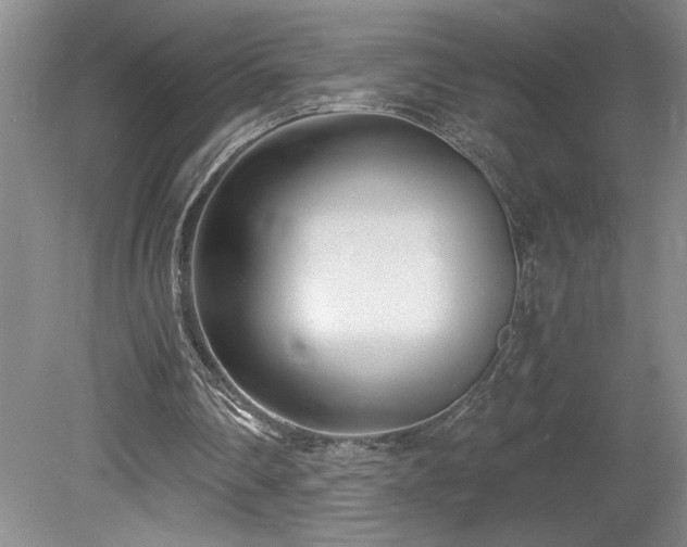 X0000080180290200612081408