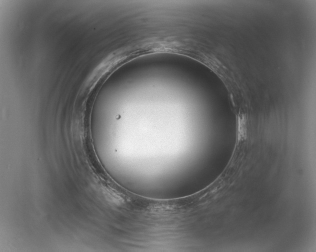 X0000080180291200612081408