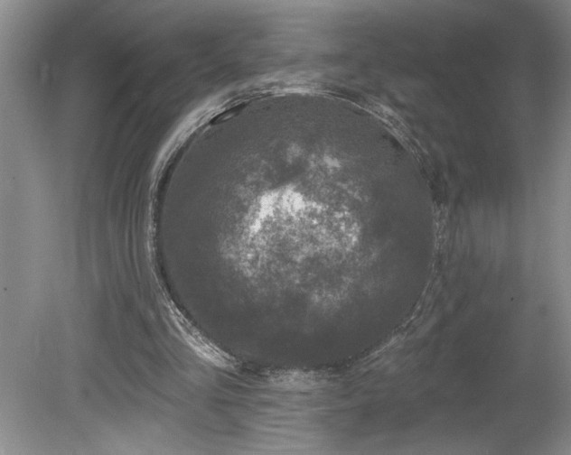 X0000080180293200612081408