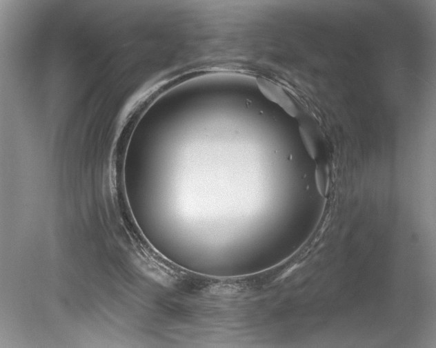 X0000080180294200612081408