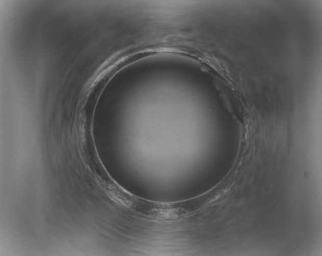 X0000080180295200612081408