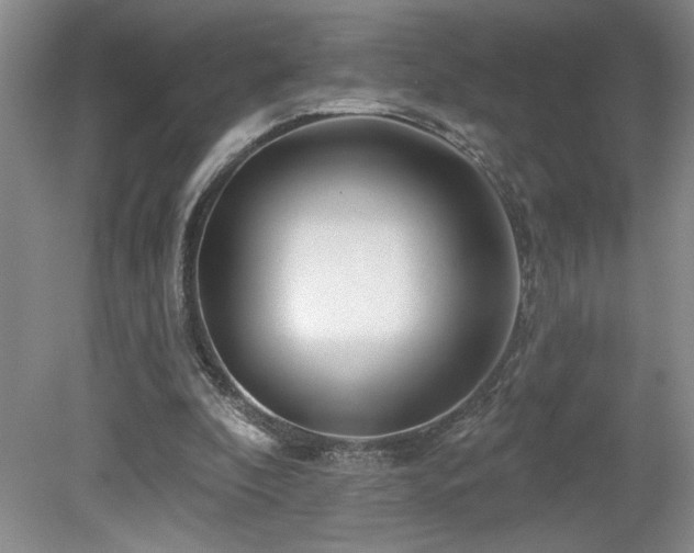 X0000080180296200612081408