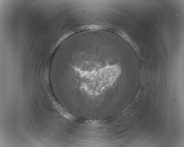 X0000080180297200612081408