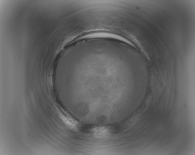 X0000080180299200612081408