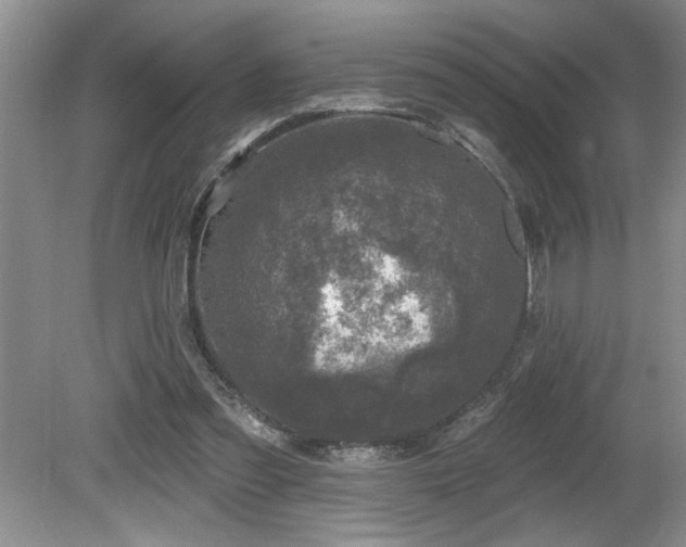 X0000080180301200612081408