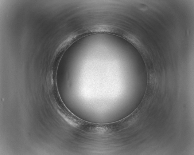 X0000080180302200612081408