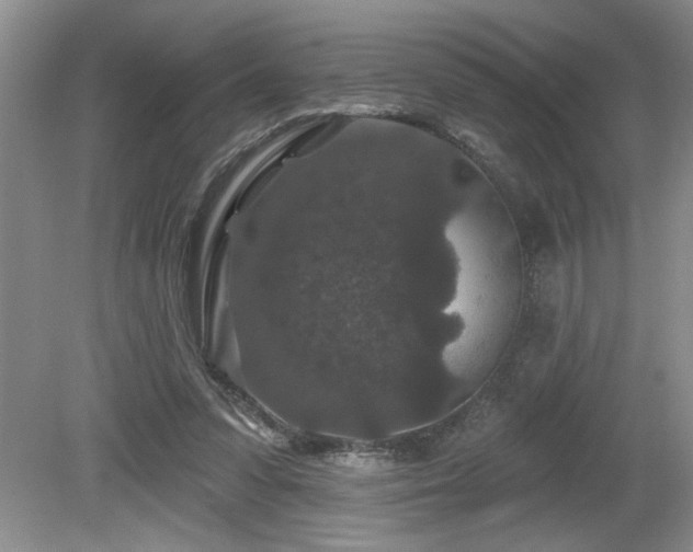 X0000080180303200612081408