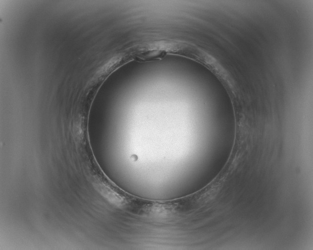 X0000080180305200612081408