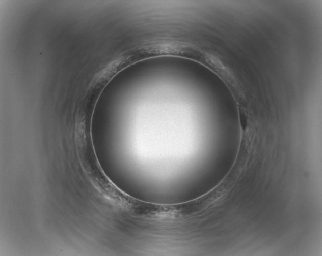 X0000080180306200612081408