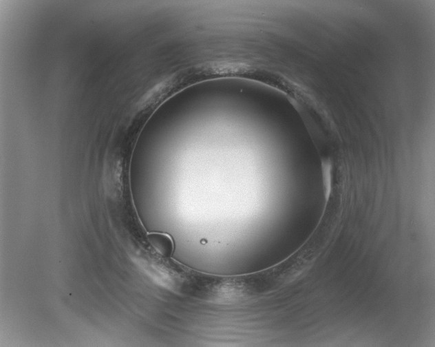 X0000080180308200612081408