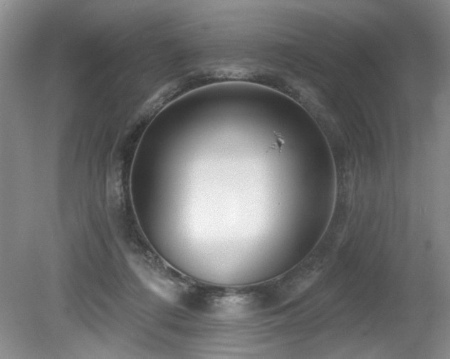 X0000080180312200612081408