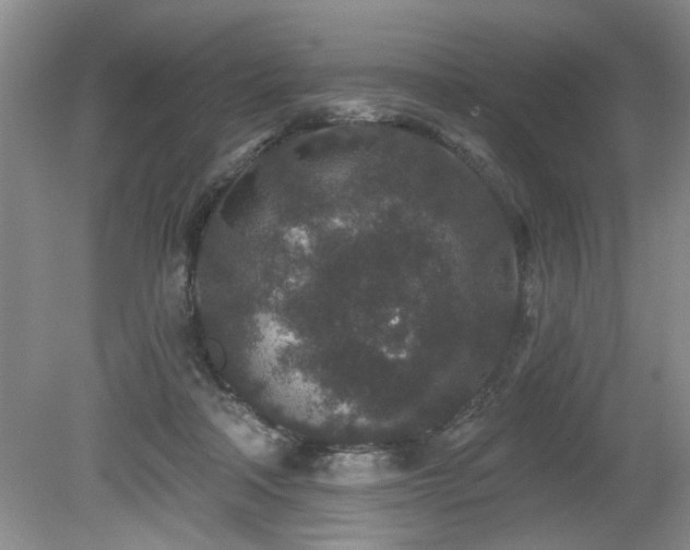 X0000080180314200612081408