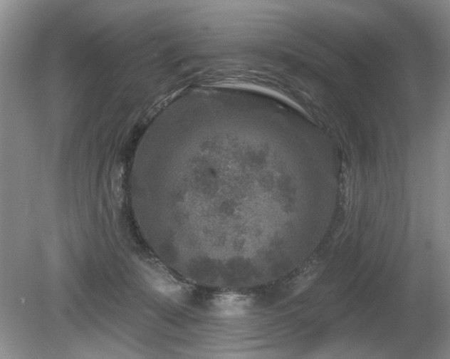 X0000080180319200612081408