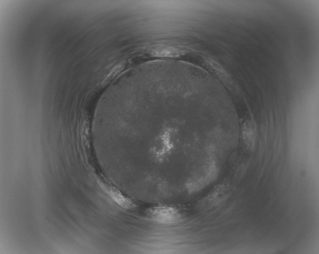 X0000080180322200612081408