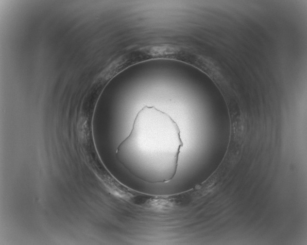 X0000080180327200612081408