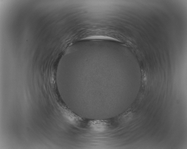 X0000080180331200612081408