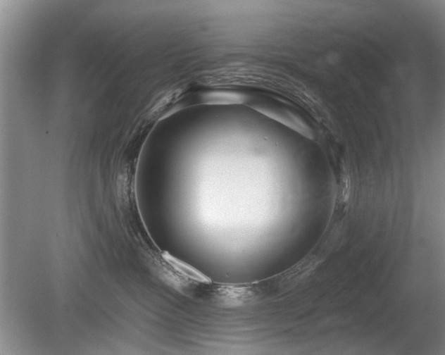 X0000080180333200612081408