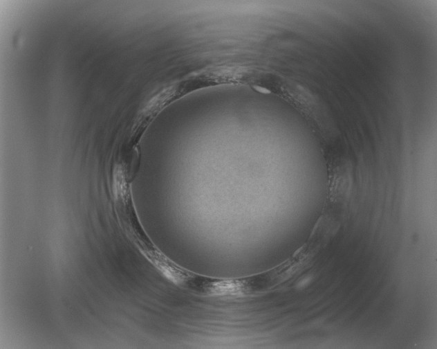 X0000080180335200612081408