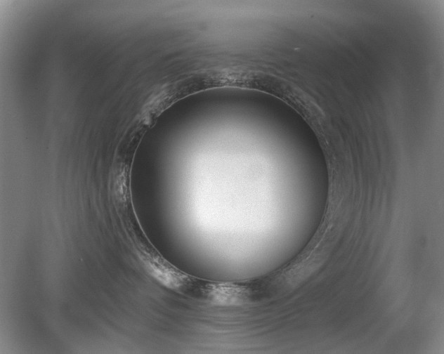 X0000080180336200612081407