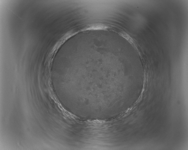 X0000080180337200612081407