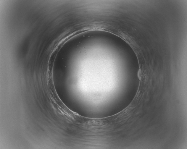 X0000080180338200612081407