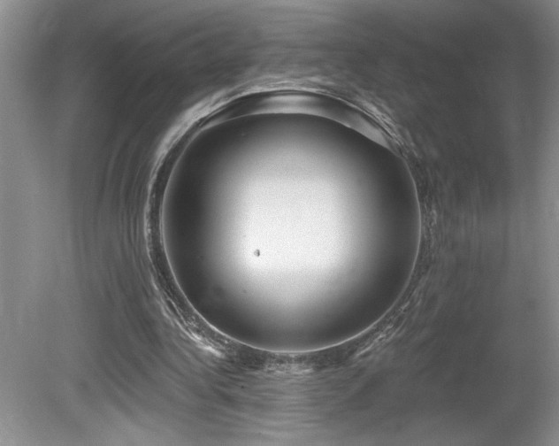 X0000080180340200612081407